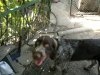 2013-07-28-1939.jpg