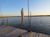 IMG_2380.JPG