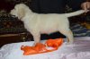 DSC_0758.jpg