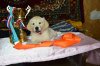 DSC_0771.jpg