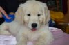 DSC_0786.jpg