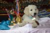 DSC_0799.jpg