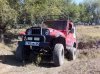 IMG_1113.JPG