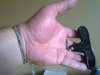 21052011061.jpg