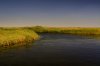 IMG_2239hdr.jpg