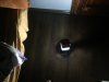 image3.jpeg
