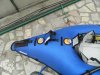 DSCN1517.JPG