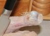 gallery_1_130_100402.jpg