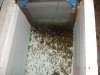 DSC03432.JPG