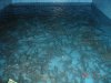 DSC03440.JPG