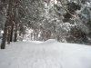 DSC02355.JPG