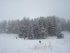 DSC02354.JPG
