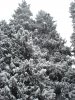 DSC02367.JPG