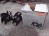 Изображение 001.jpg