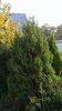 IMAG0009.jpg