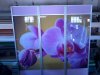 Фо_о-0017.jpg