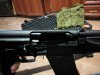 IMG-20170131-WA0076.jpg