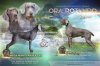 18B74603-3DA4-41FA-A317-05E1E492FFDC.jpeg