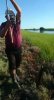 p1chia7u7h18n41p3lbu9132plik2.jpg