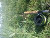 IMG_20120505_175117.jpg