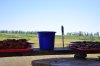 _DSC0244.JPG