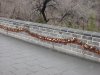 _о_о_2010_635.JPG