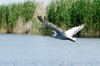 DSC_1614111.jpg