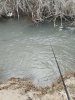 IMG_20250210_134630.jpg