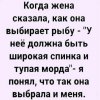 20420023.jpg