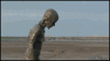 gifs_11.gif