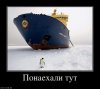 Понае_али-___.jpg
