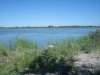 DSC00220.JPG