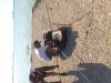 20120927_143943.jpg
