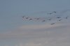 IMG_1068.JPG