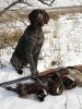 IMG_2547.JPG