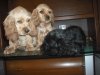 но_б_2012_055.JPG