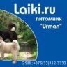 laikiru