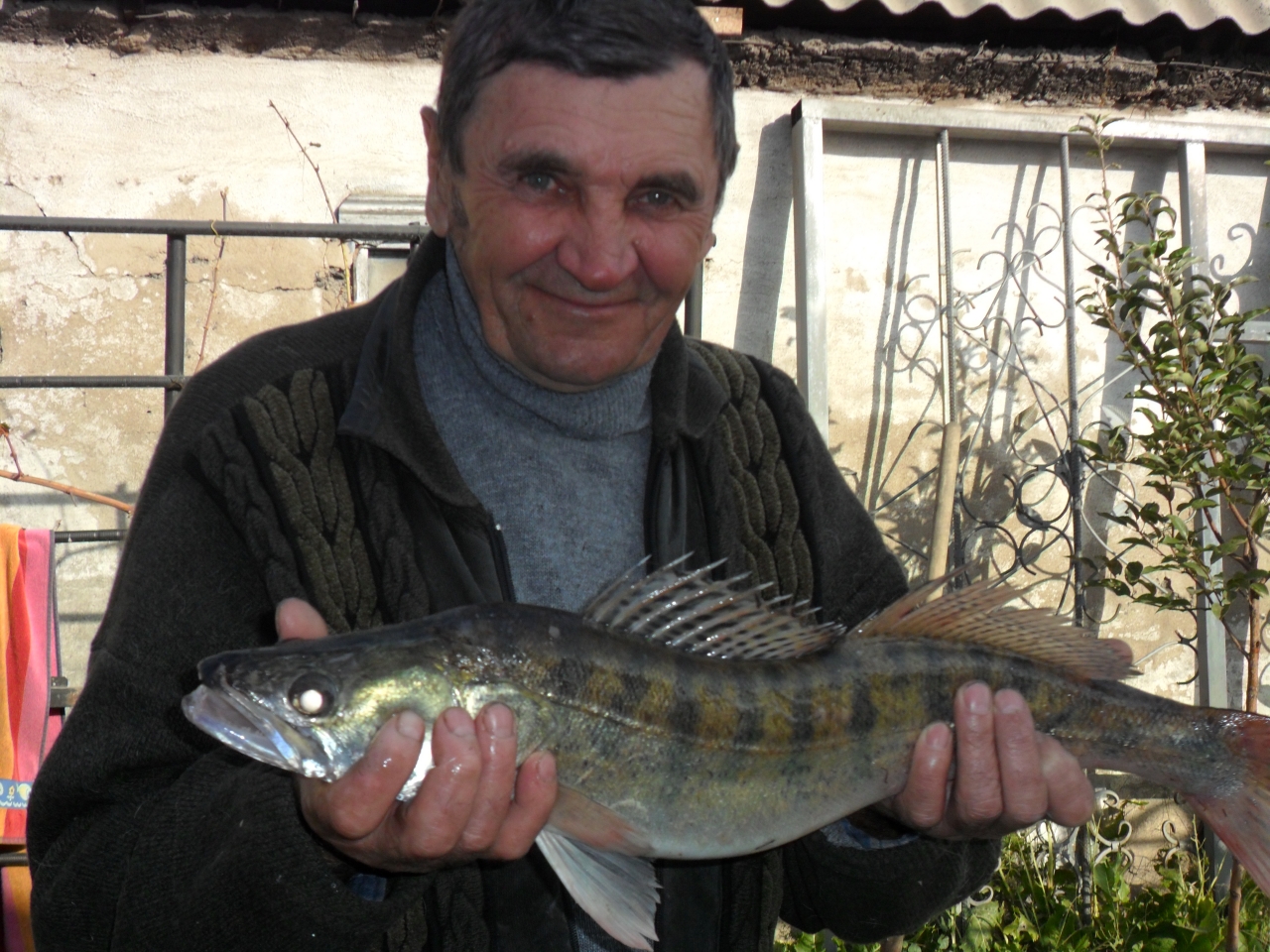 Ловля судака близ Алматы