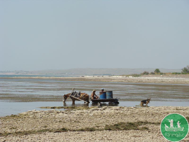 Кубок FISHING.KZ по ловле на спиннинг с лодки &quot;ЗМЕЕГОЛОВ 2014&quot;