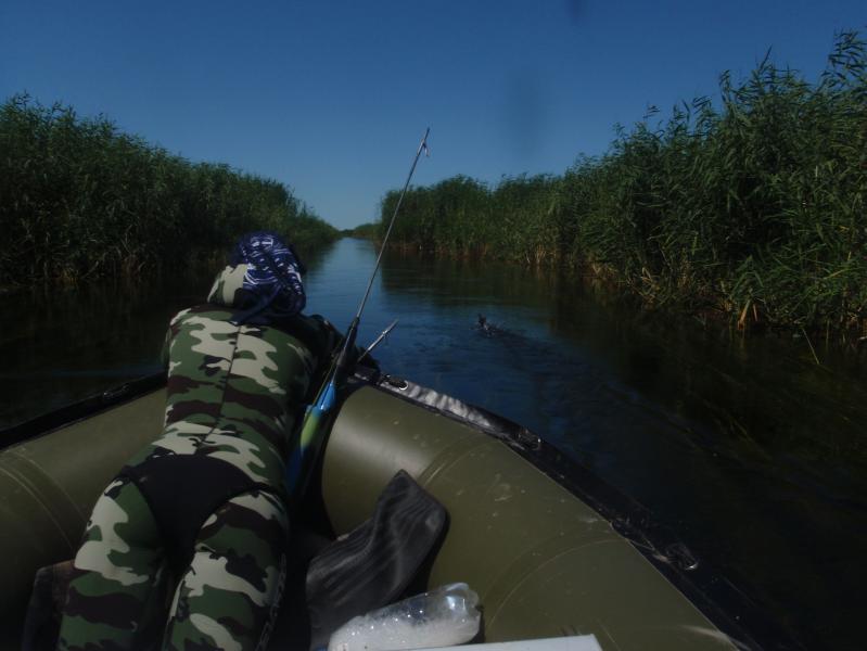 Подводная охота в подмосковье водоемы на карте