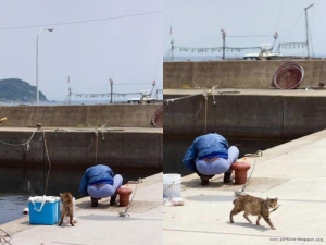 11219