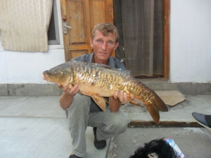 зеркальный карп