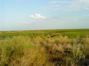 2001