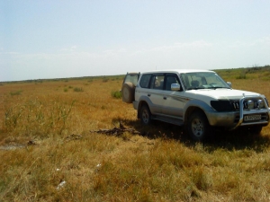 2003