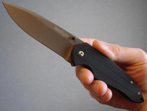 Kershaw Hawk