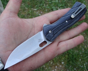 BUCK Vantage Avid