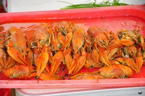 Раки