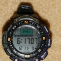 10161