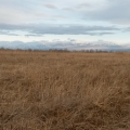 Красота