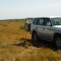 2003
